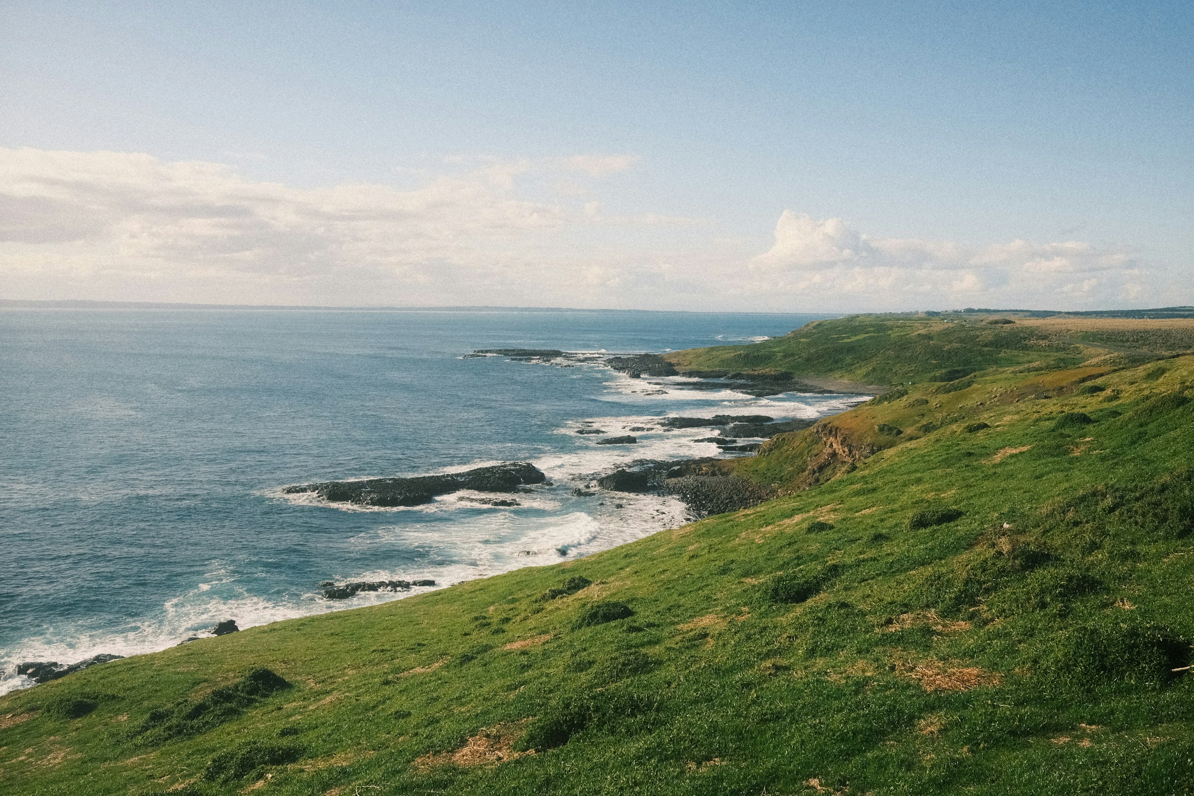 Phillip Island wildlife day